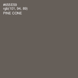 #655E59 - Pine Cone Color Image